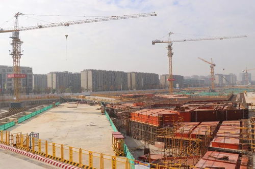 徐征一行調(diào)研阿里巴巴項(xiàng)目并召開(kāi)工程總承包模式專(zhuān)題研討會(huì)